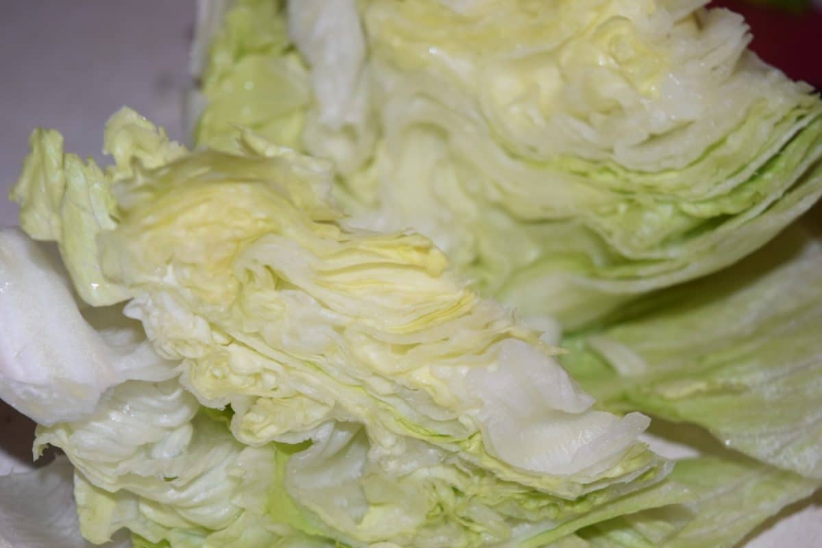 iceberg lettuc cut into wedges for salad