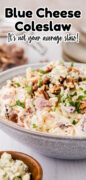 Blue Cheese Coleslaw Recipe Pinterest image