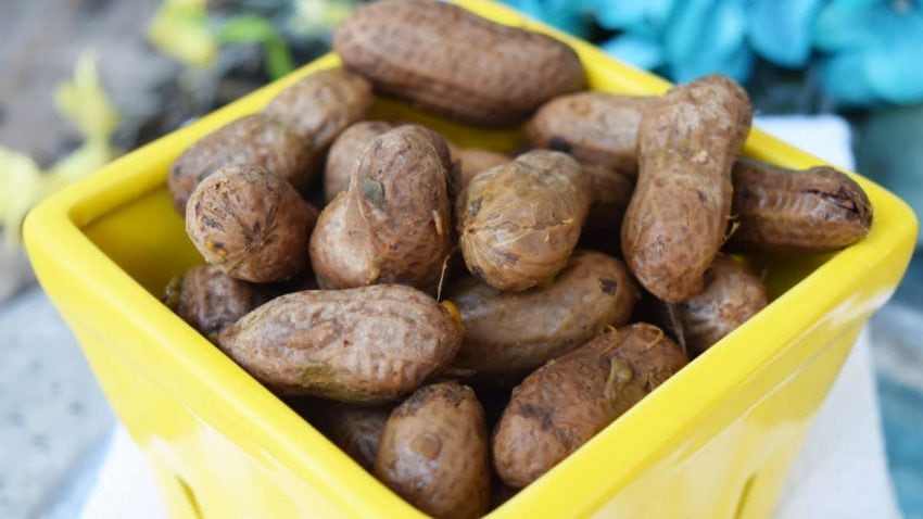 Boiled Peanuts