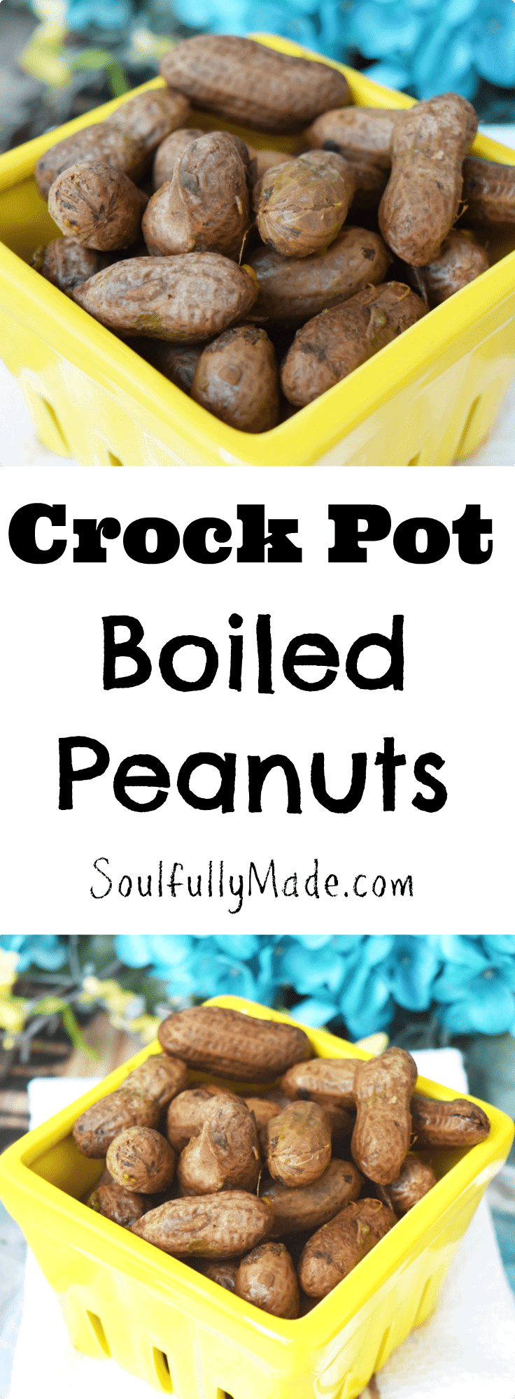 Crock Pot Boiled Peanuts Pin