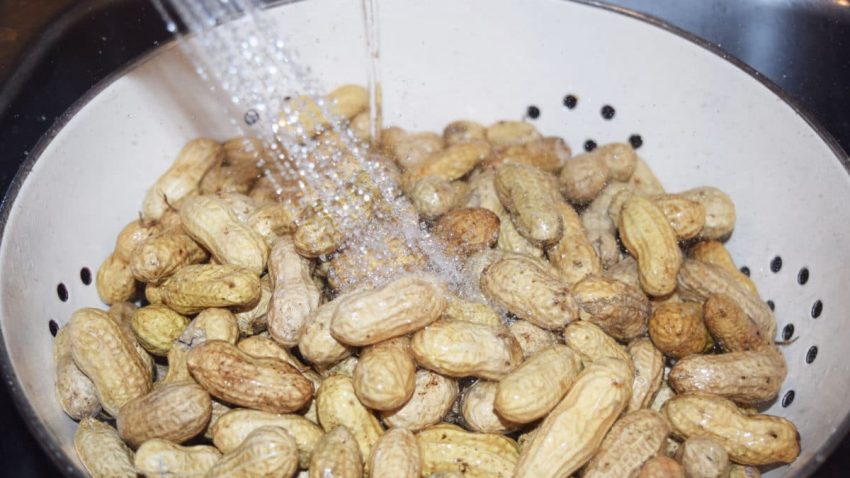 a colander of shelled peanuts being rinsed with water