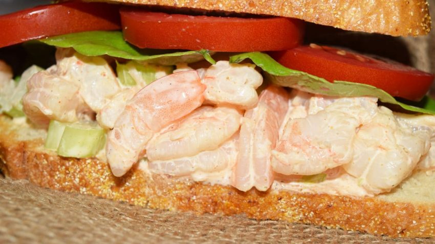 a closeup of a side view of a shrimp salad sandwich