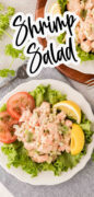 Shrimp Salad Recipe Pinterest Image