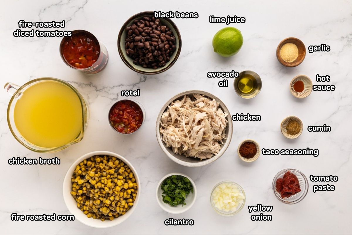 A labeled image of ingredients needed to make chicken tortilla soup.