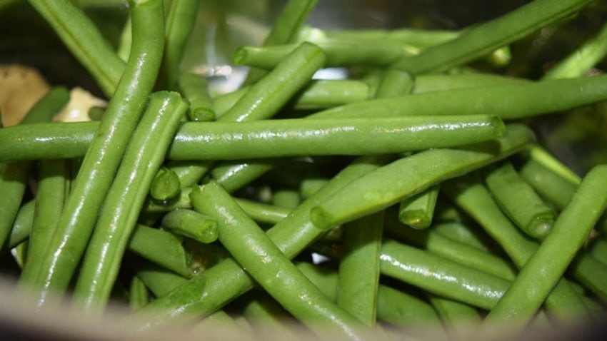  Freshly Trimmed Green Beans in Instant Pot