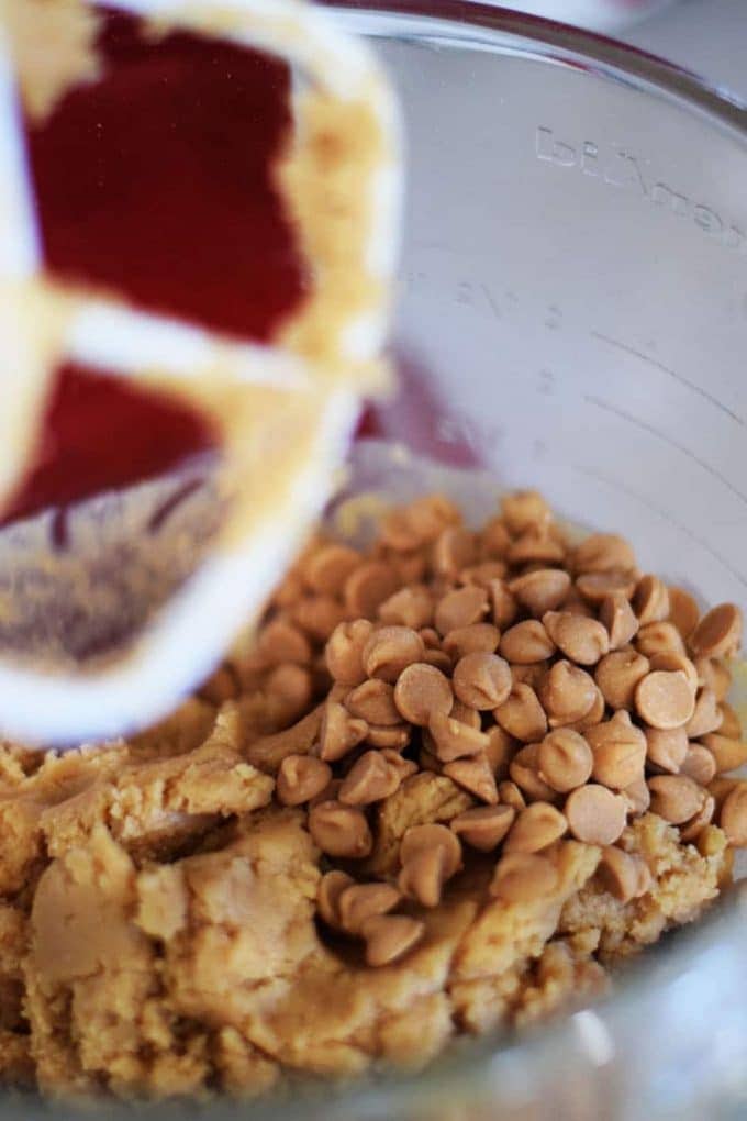 Peanut Butter Fudge Cookie Dough with Reese's Chips