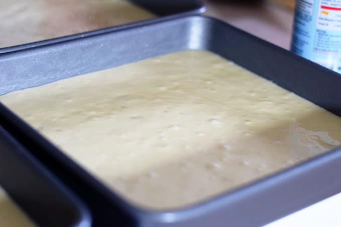 Almond Cake Batter in Square Baking Pan