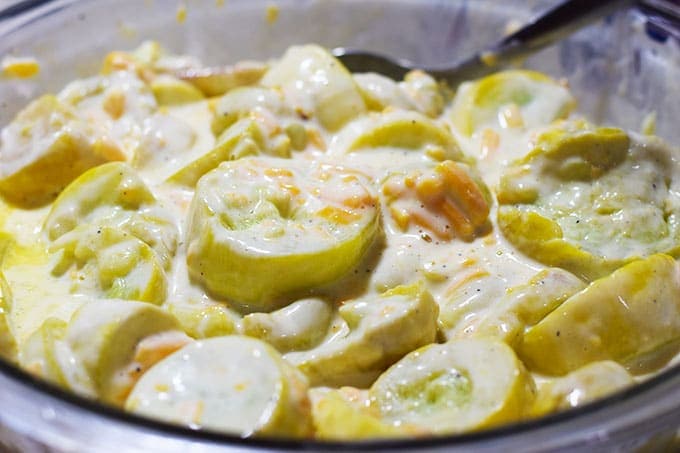 Cooked Yellow Squash mixed with sour cream, egg and cheese