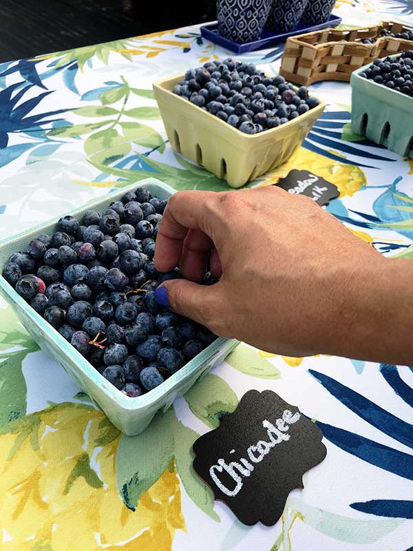 a close up of a carton of fresh blueberries 