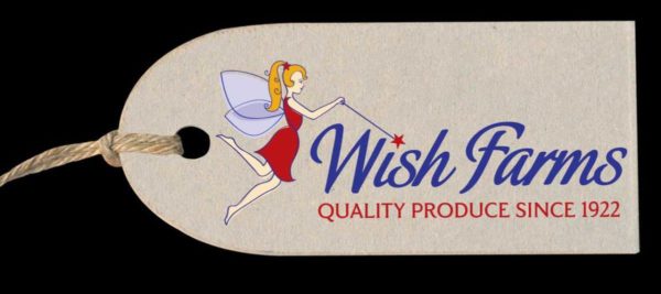 a closeup of the wish farms logo