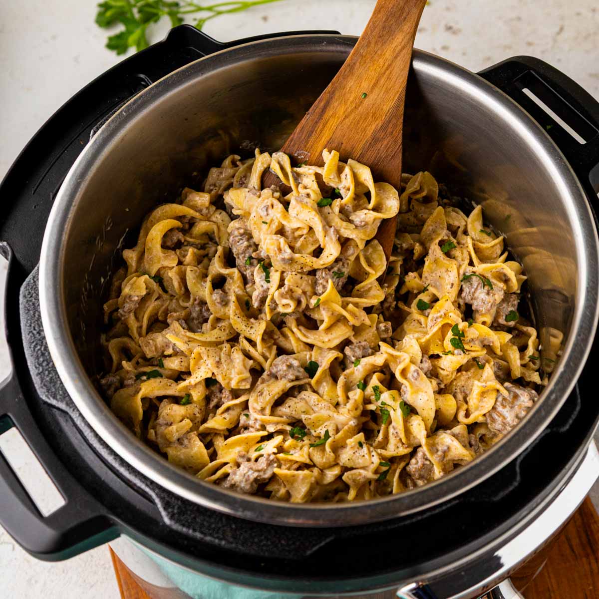 Ground beef and noodles and a creamy French onion sauce, in an instant pot.