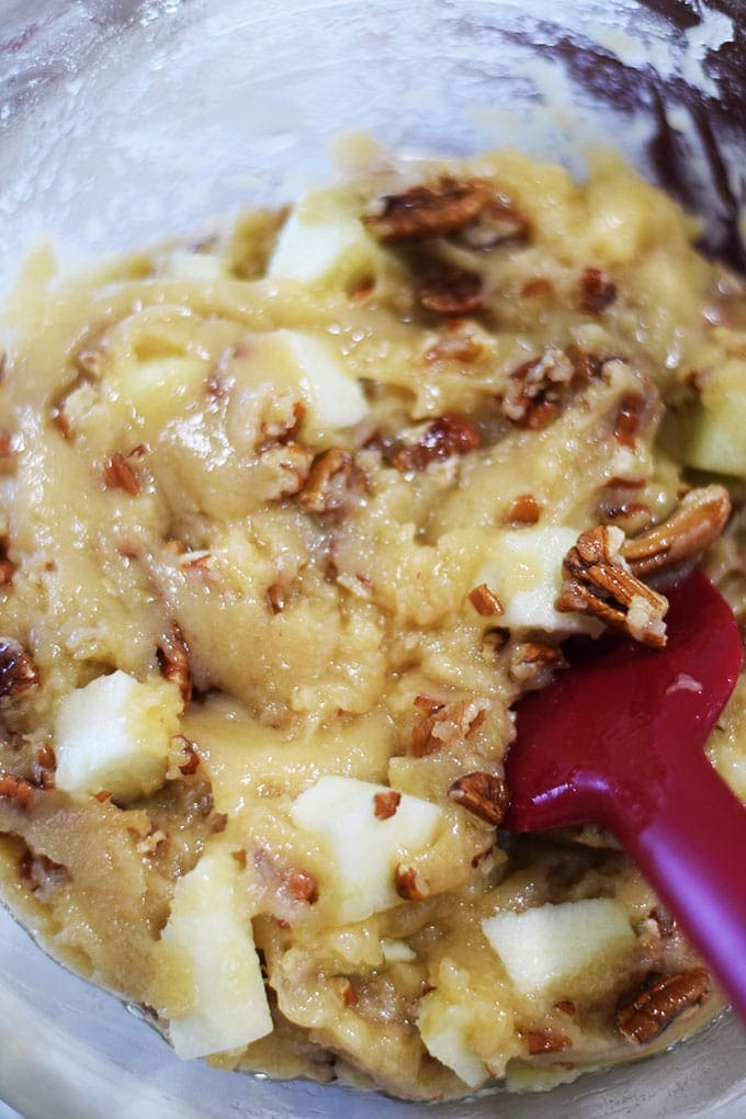 Apple Cake Batter in mixing bowl