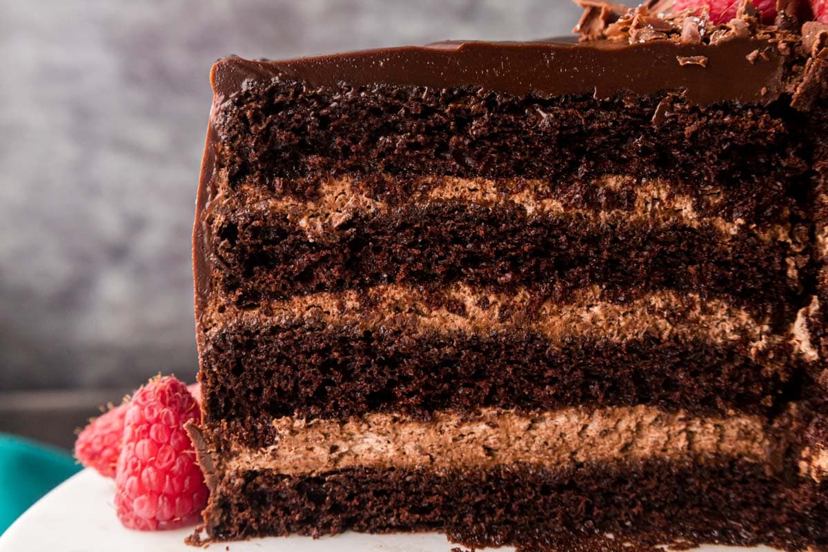 An up close image of a layered chocolate mousse cake.