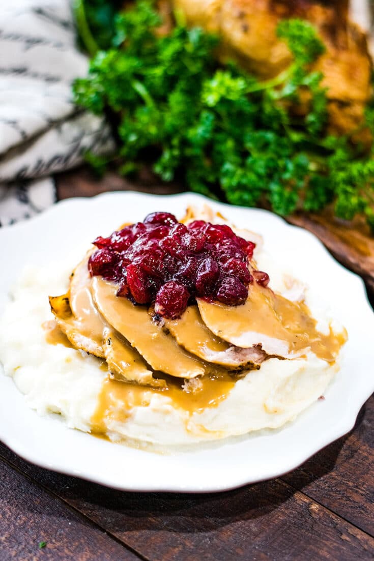 Mashed potatoes on a white plate with sliced turkey and gravy on top. Garnished with cranberry sauce.