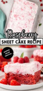 Raspberry Fluff Sheet Cake Pinterest image