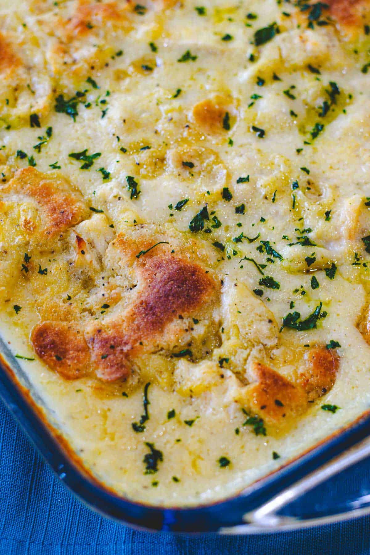 Up close image of chicken and dumplings casserole in a 9 x 13 dish.