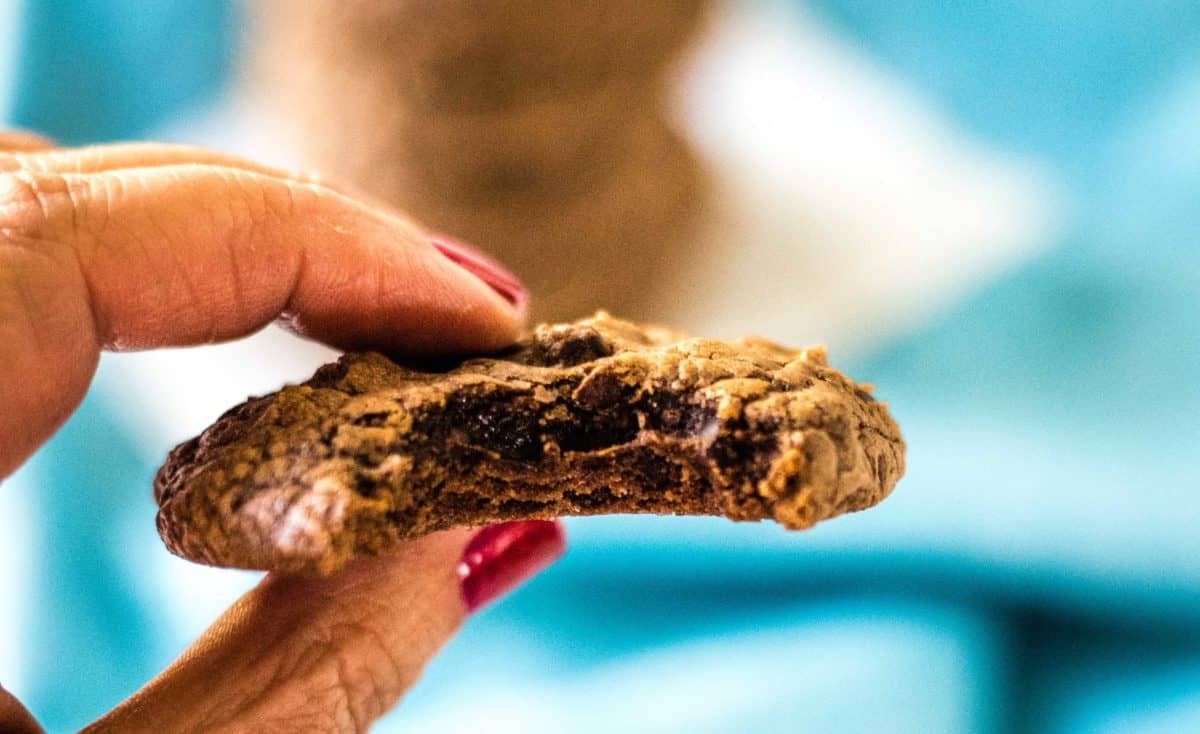 Closeup bite shot  of the author holding a brownie cookie with a bite taken out of it