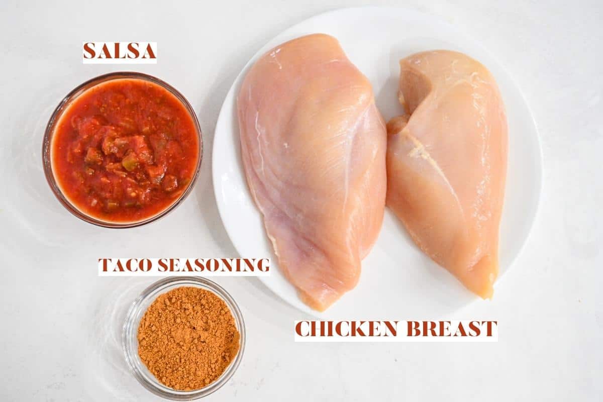 Slow Cooker Salsa Chicken labeled ingredients - Chicken Breasts, Taco Seasoning, and Salsa.