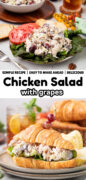 Copycat Fancy Nancy Chicken Salad with Grapes and Pecans recipe Pinterest image