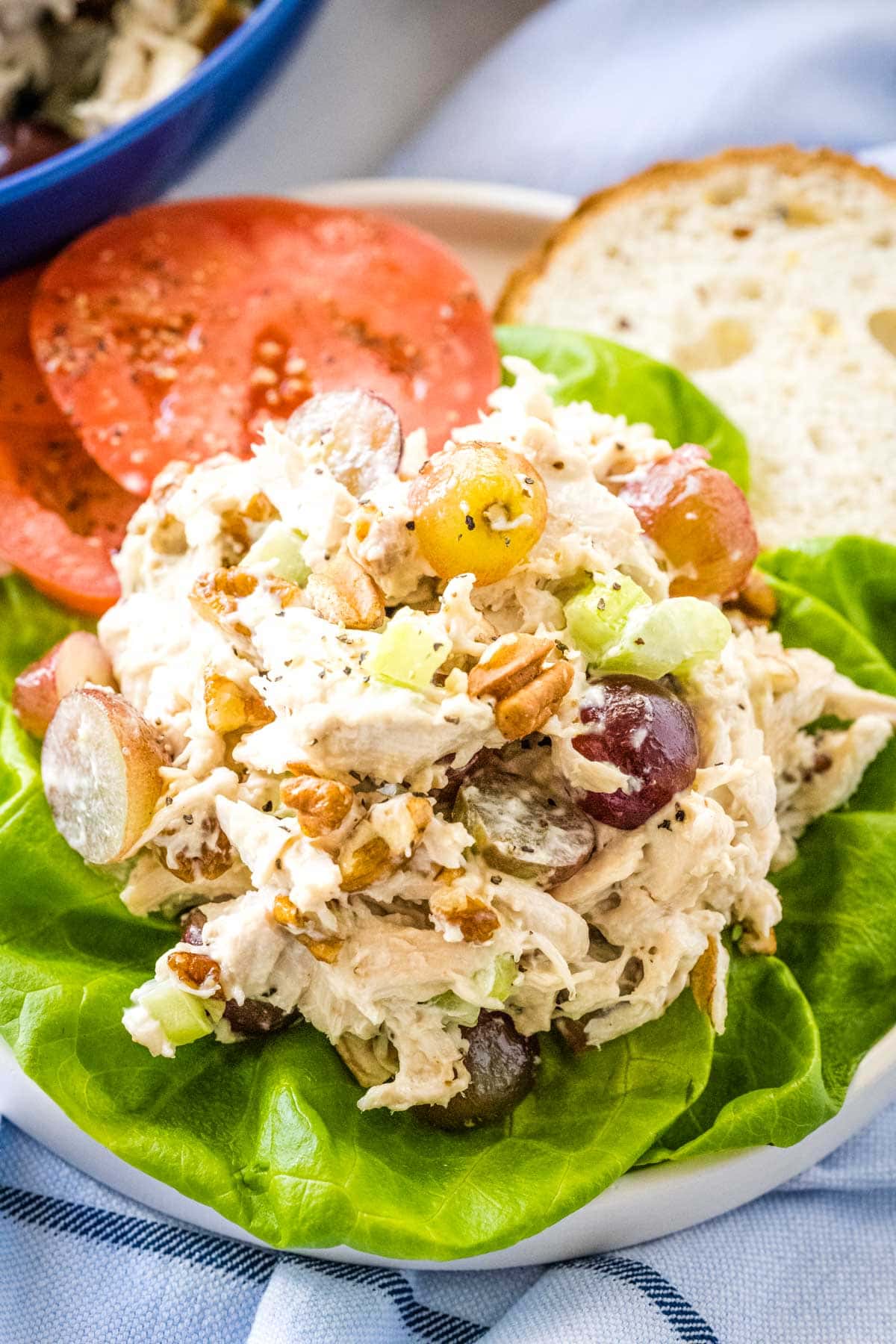 A scoop of chicken salad over a bed of lettuce served on a plate with sliced tomatoes and a slice of grain bread.