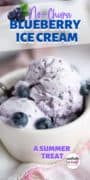 No-Churn Ice Cream in a bowl with a helping of blueberries sprinkled on top.