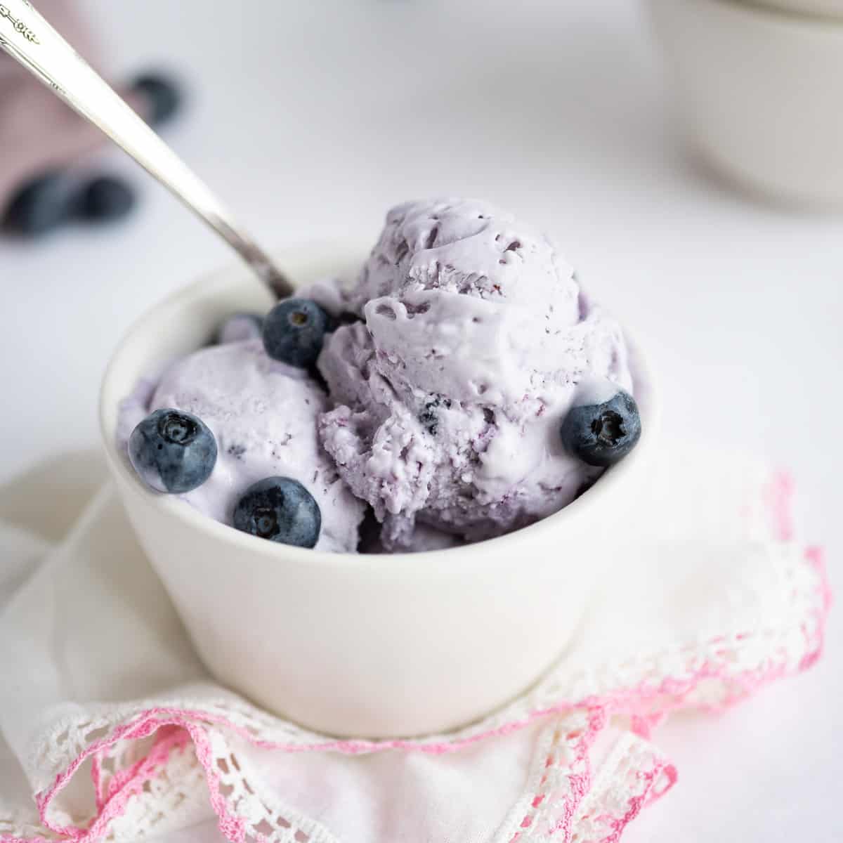 No-Churn Blueberry Ice Cream