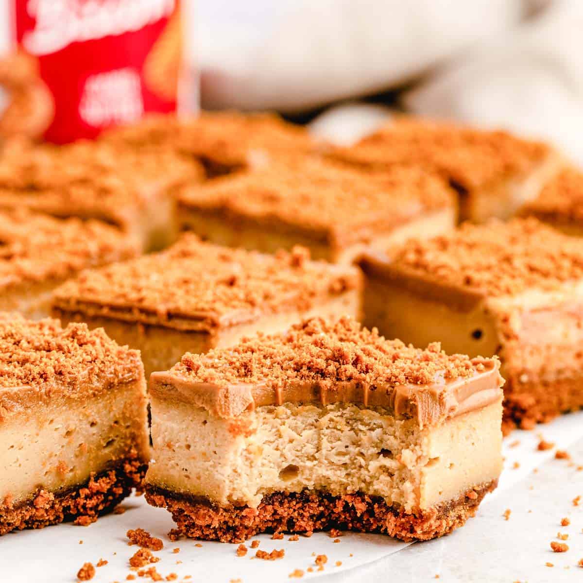 An upclose image of Biscoff cheesecake square with surrounding cut squares set on parchment paper.