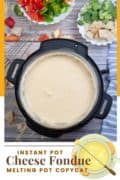 Instant Pot Cheese Fondue Pin 2