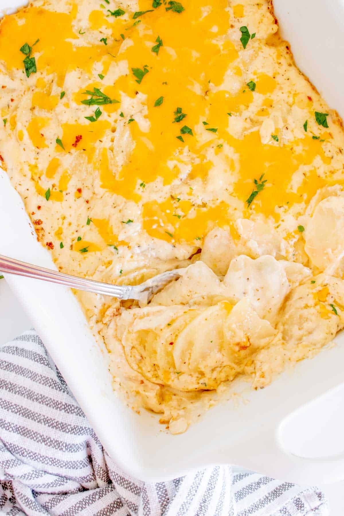 A white casserole dish filled with potatoes au gratin being scooped out with a silver serving spoon.