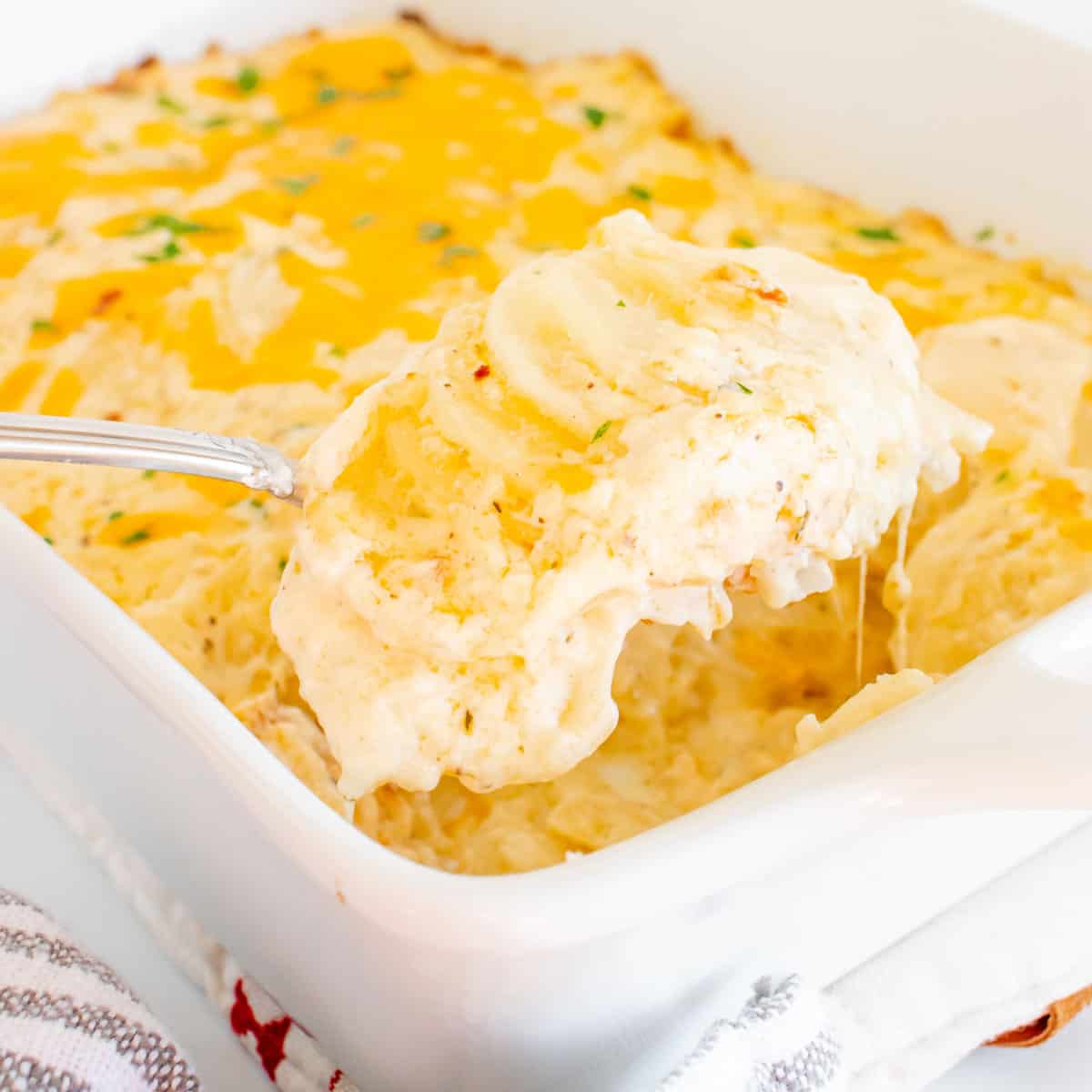 A spoonful of au gratin potatoes being scooped out of a white casserole dish.