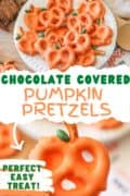 Pinterest image of a chocolate covered orange pumpkin pretzel.