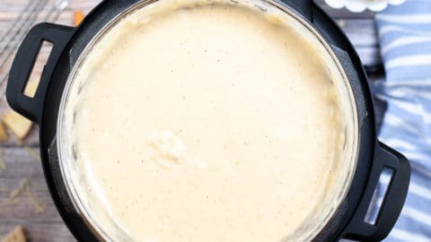 Fondue in instant pot outlet