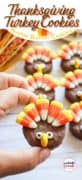 Thanksgiving Turkey Cookies