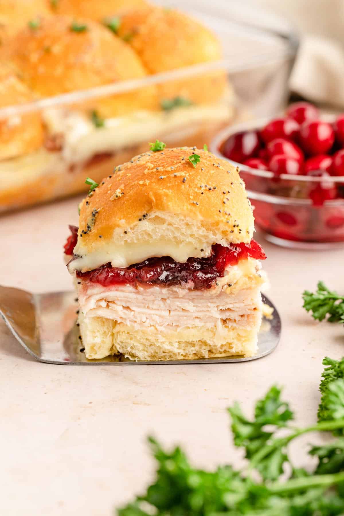 A turkey slider with gooey cheese and cranberry sauce on a spatulate with whole cranberries in the background.
