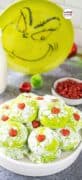 image pin 4 for Grinch Cookies