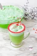 Grinch Punch Recipe image only for pin 4