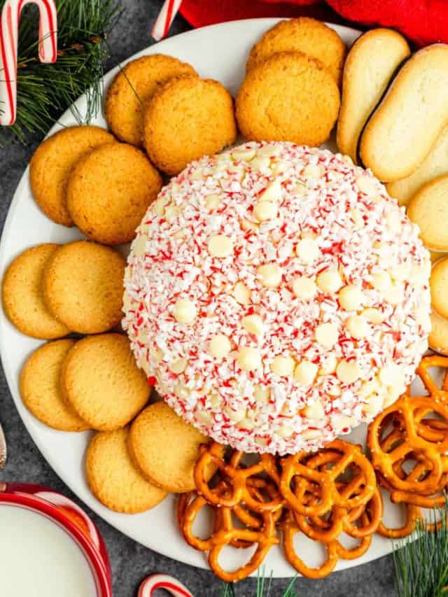 An overhead shot of a white plate with white chocolate peppermint cheesecake ball surrounded by cookies and pretzels on a grey table with evergreens and candy canes.