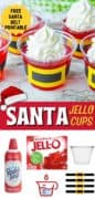 Sant Jello Cup Pinterest Image.