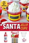 Sant Jello Cup Pinterest Image.