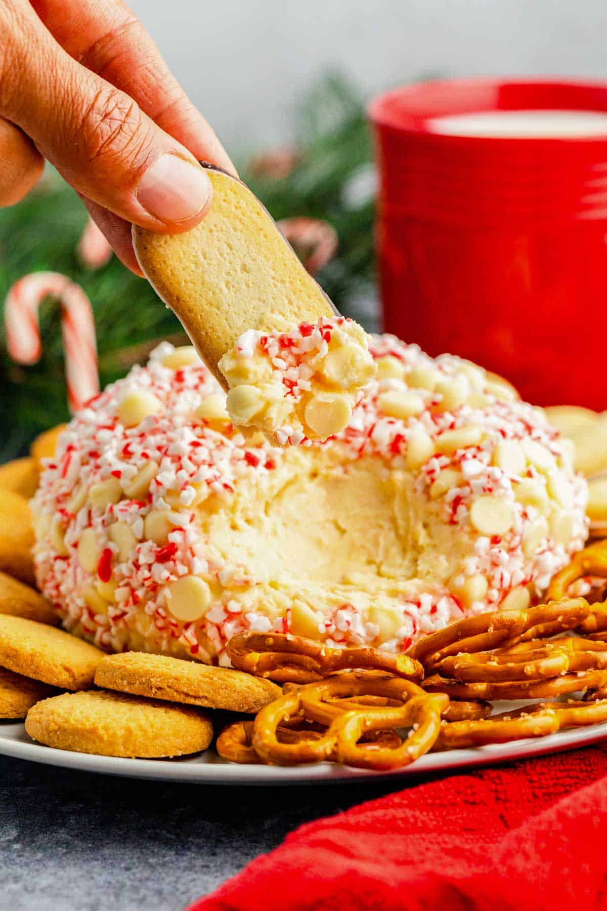 A handing dipping a cookie into peppermint cheesecake ball.