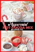 Peppermint Hot Cocoa Mix Pin 1