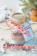 Peppermint-hot-cocoa-mix-pin3