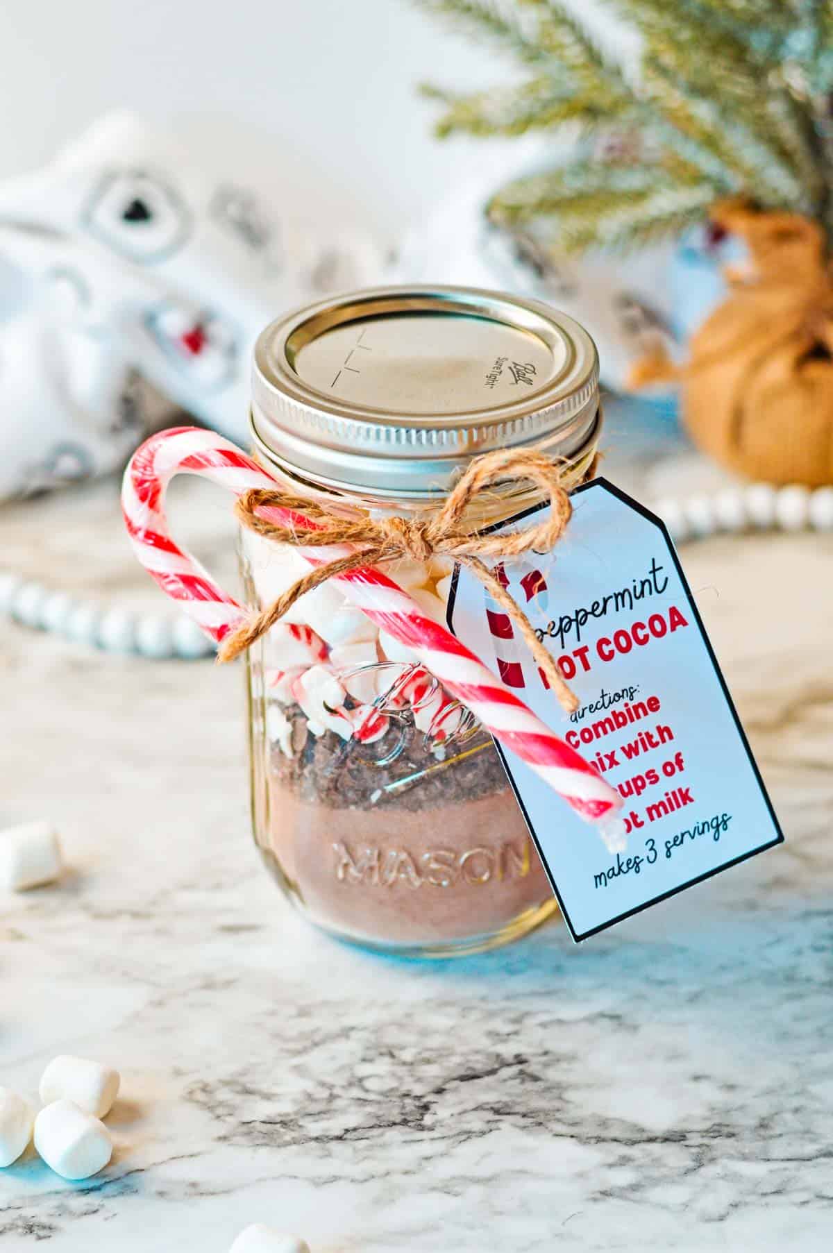 A mason jar with hot cocoa mix, chocolate chips, crushed peppermint, and marshmallows labeled with an instruction tag.