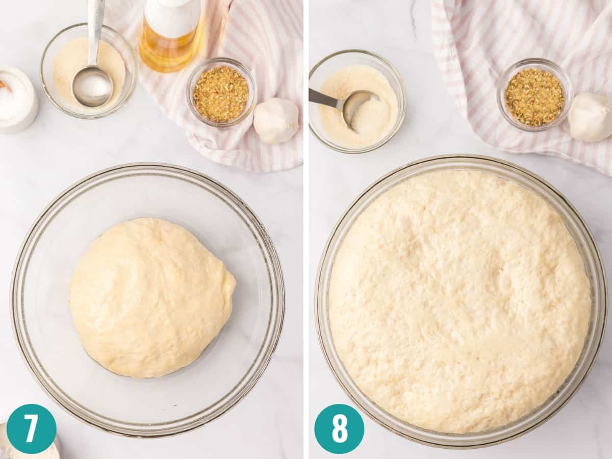 Step-by-step photo of placing dough ball in the bowl to allow it to rise.