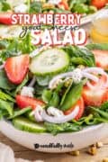Strawberry Goat Cheese Salad pinterest image pin 3 of a bowl of salad in a closeup.