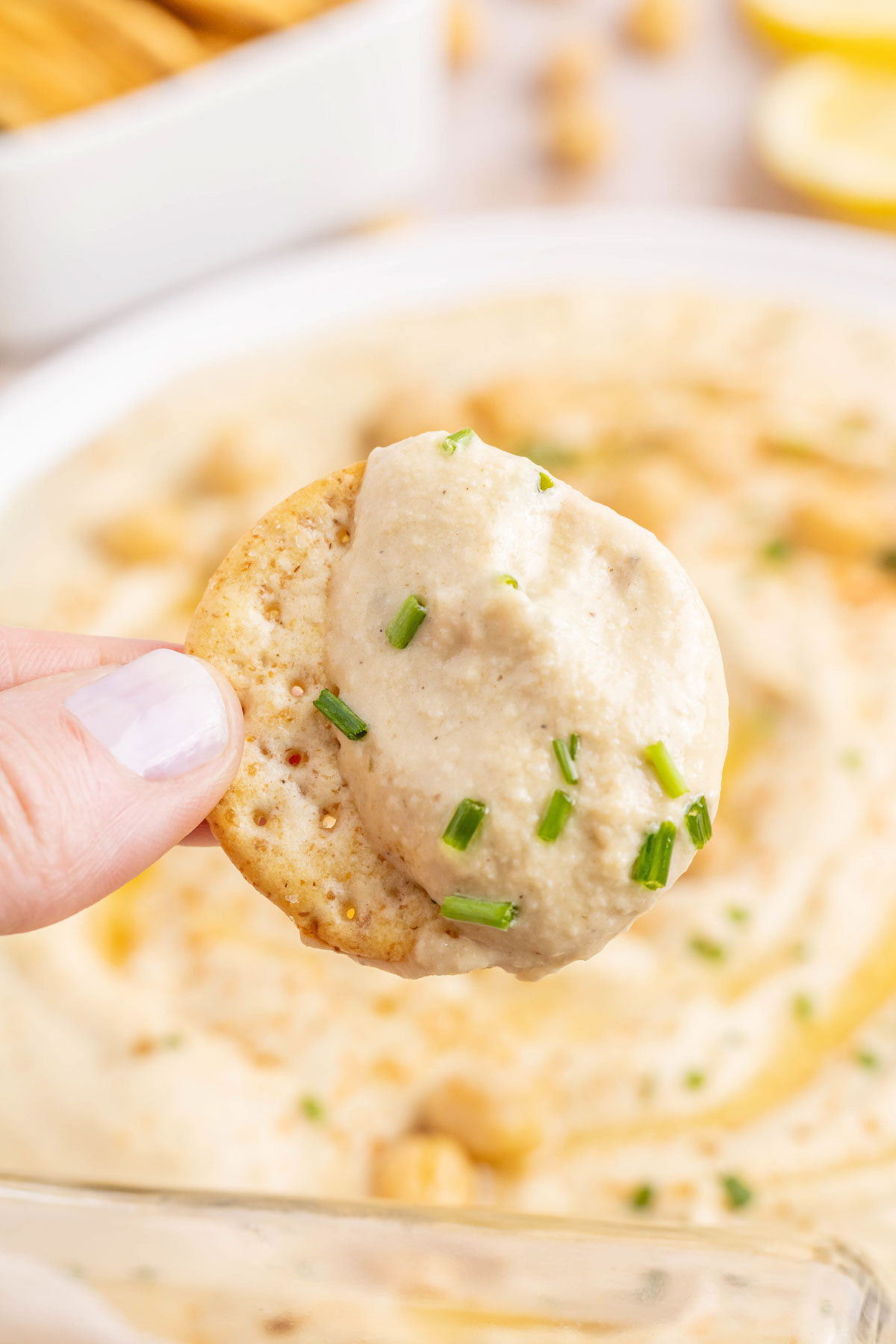 A cracker with a scoop of creamy garlic hummus on it.