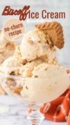An up close image of a glass bowl filled with no-churn Biscoff Ice Cream and a cookie stuck into the top scoop.