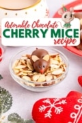 An adorable chocolate cherry mouse in sitting in a bowl of almond slices.