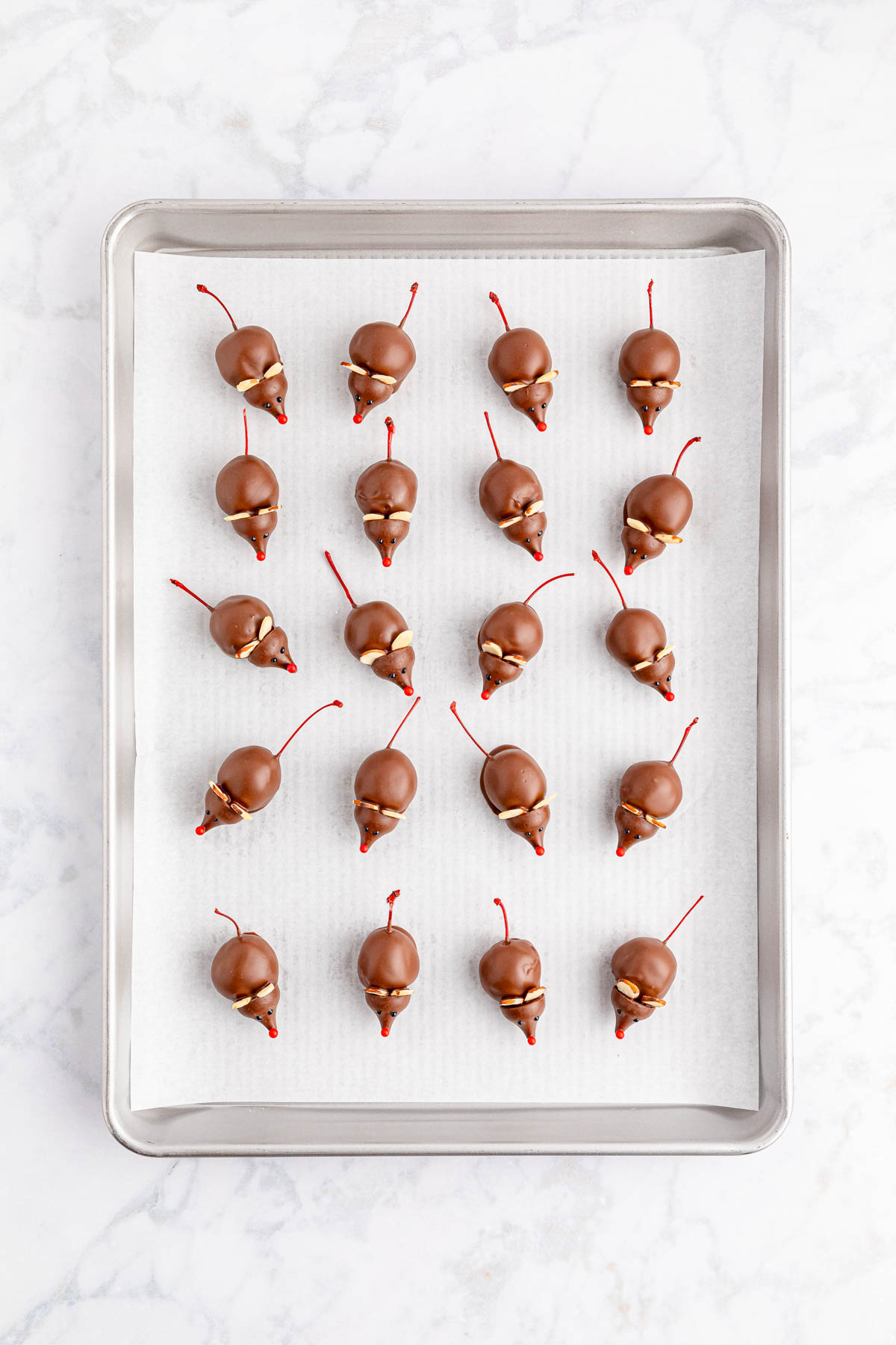 Chocolate covered cherry mice on a lined baking tray to set.