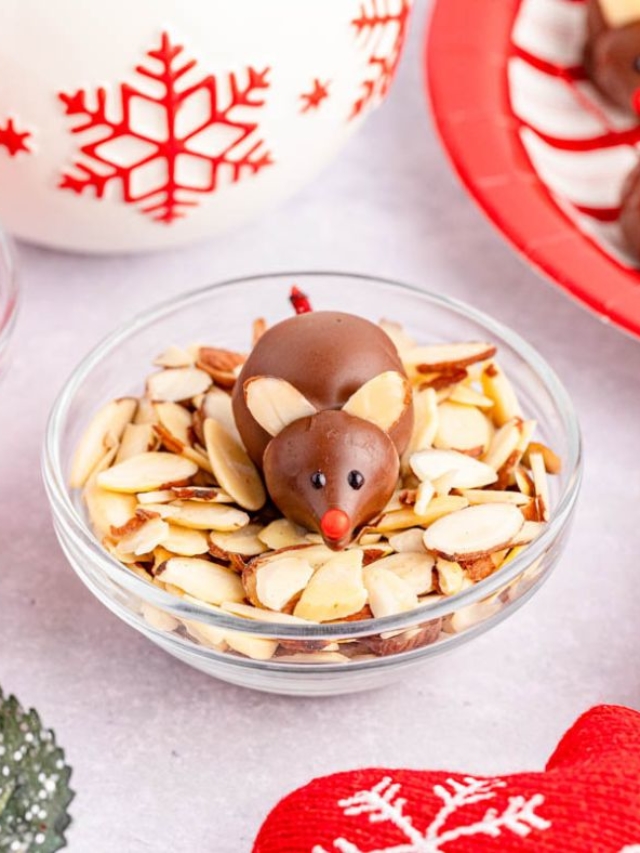 A bowl of almond slices with a cute little chocolate covered mouse in the bowl.